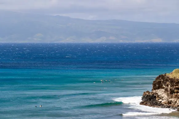 Kasino Two Fat Ladies Bingo Podpora